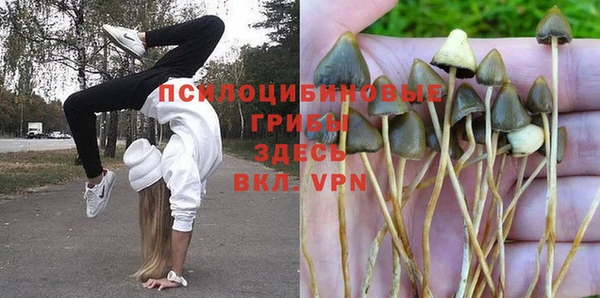 прущие грибы Алексин